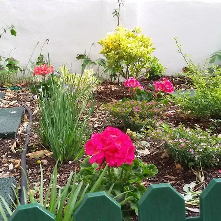 Sunny Orange Garden In Lägenhet