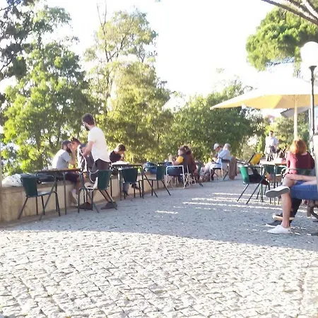 Lägenhet Sunny Orange Garden In Lisboa