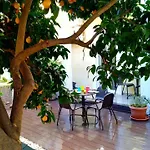 Sunny Orange Garden In * Lisboa