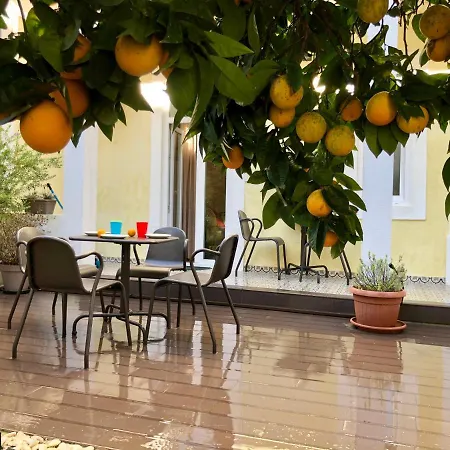 Apartment Sunny Orange Garden In Lisbon