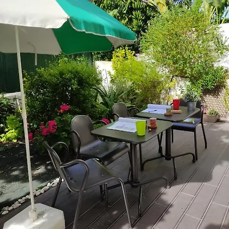 Sunny Orange Garden In Lisbon