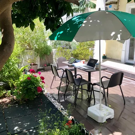 Sunny Orange Garden In Apartment