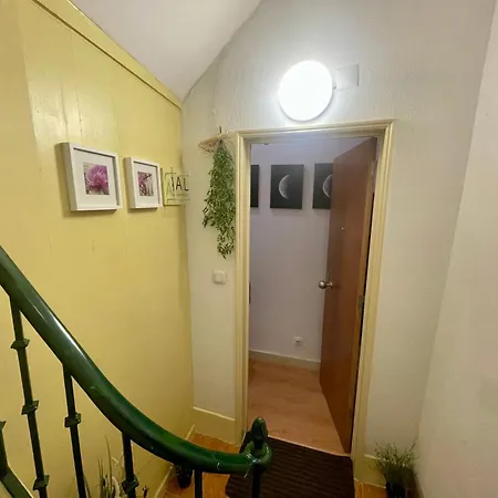 Sunny Orange Garden In Apartment