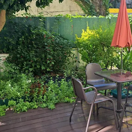 Sunny Orange Garden In *