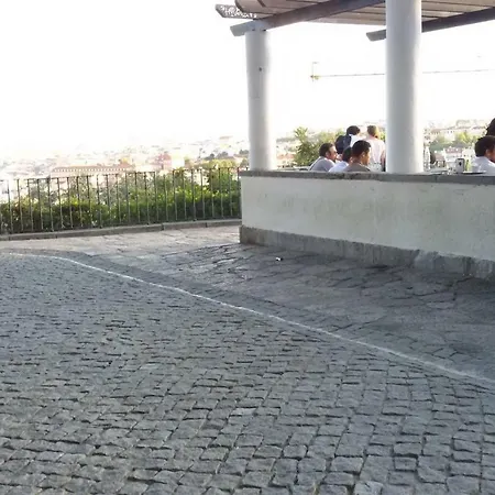 Sunny Orange Garden In Lisbon