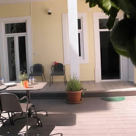 Sunny Orange Garden In Apartment *