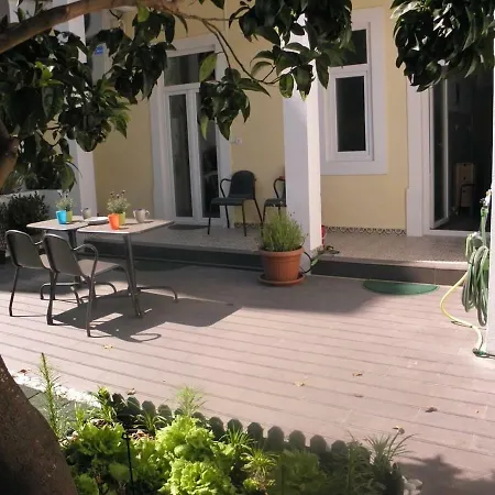 Sunny Orange Garden In * Lisbon