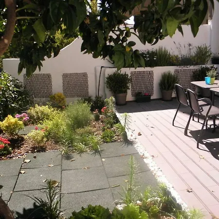 Sunny Orange Garden In Apartment Lisbon
