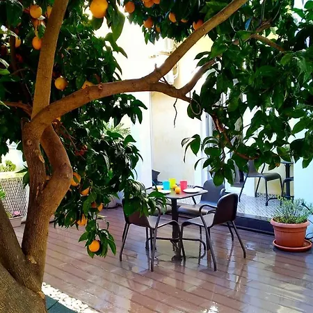 Sunny Orange Garden In * リスボン