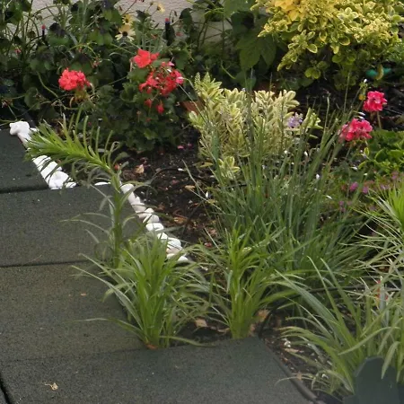 Apartament Sunny Orange Garden In Lizbona