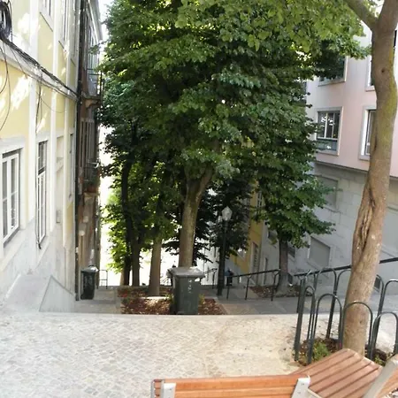 Sunny Orange Garden In * Lizbona