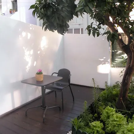 Sunny Orange Garden In Apartament *