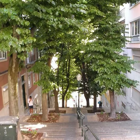 Sunny Orange Garden In *