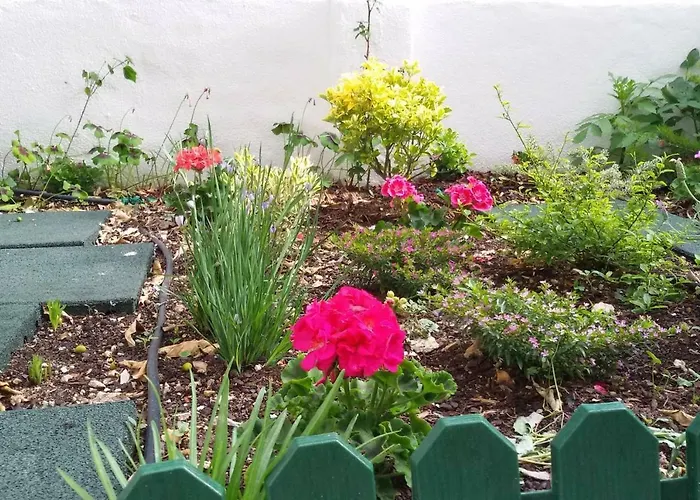 Sunny Orange Garden In アパート