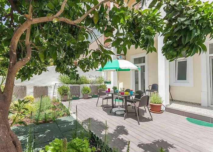 Sunny Orange Garden In