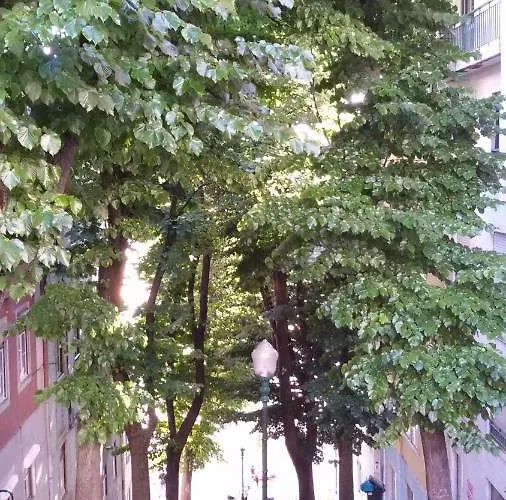 Sunny Orange Garden In * リスボン