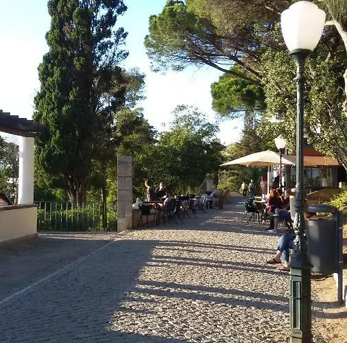 アパート Sunny Orange Garden In リスボン