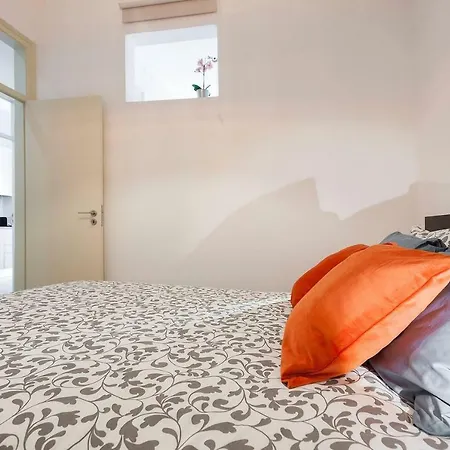 Sunny Orange Garden In